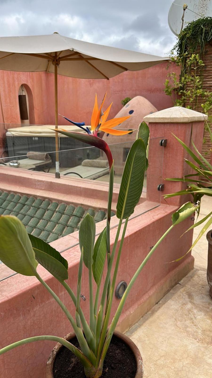 Riad Dar Ten Marrakesh Eksteriør bilde